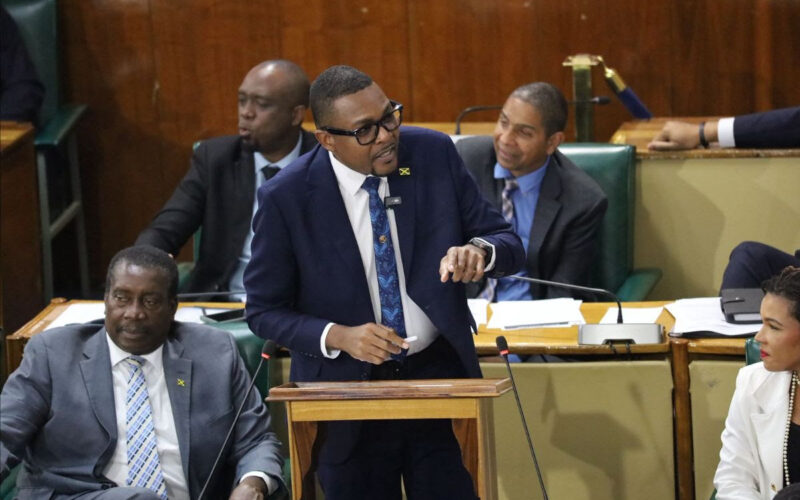 Works Minister says Jamaican Road Register to improve accountability coming soon