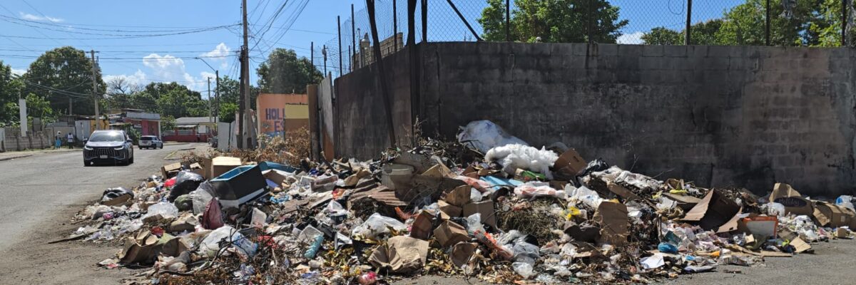 Waltham Park residents concerned about improper disposal of garbage in community