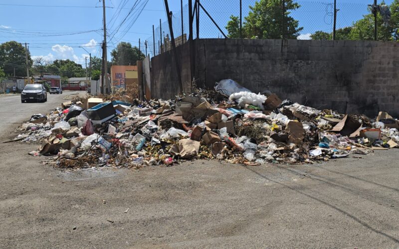 Waltham Park residents concerned about improper disposal of garbage in community