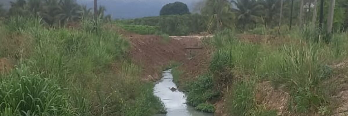 NEPA says elevated PH level likely caused yesterday’s fish kill in the Rio Cobre