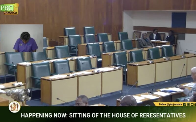 Opposition MPs walk out of Parliament after Golding’s attempt to file no-confidence motion against PM Holness fails