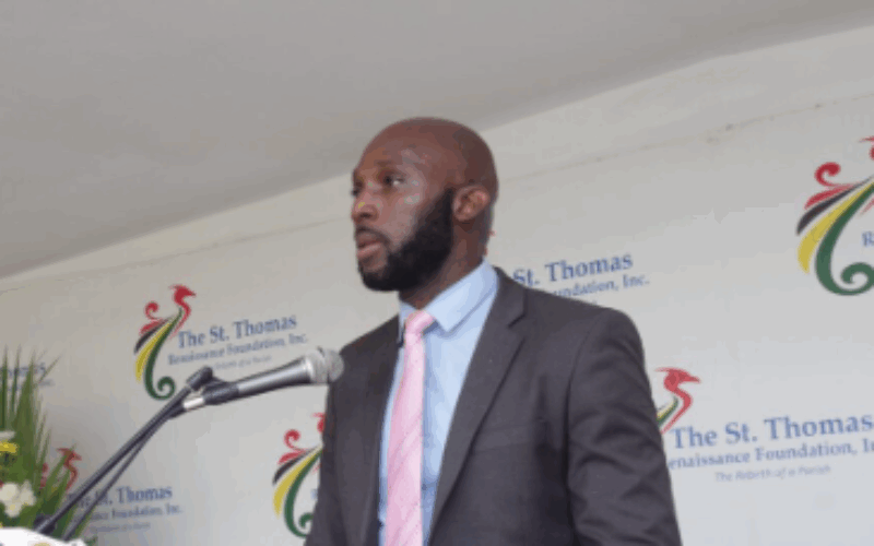 JTA says Jamaica Teaching Council bill must be governed by teachers and be free from political interference