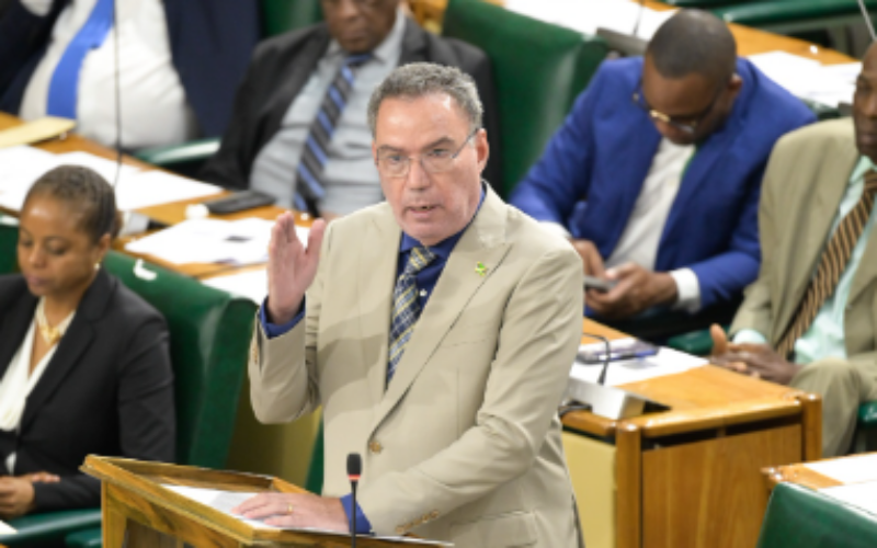 Cabinet approves terms for new electricity licence to be negotiated with JPS
