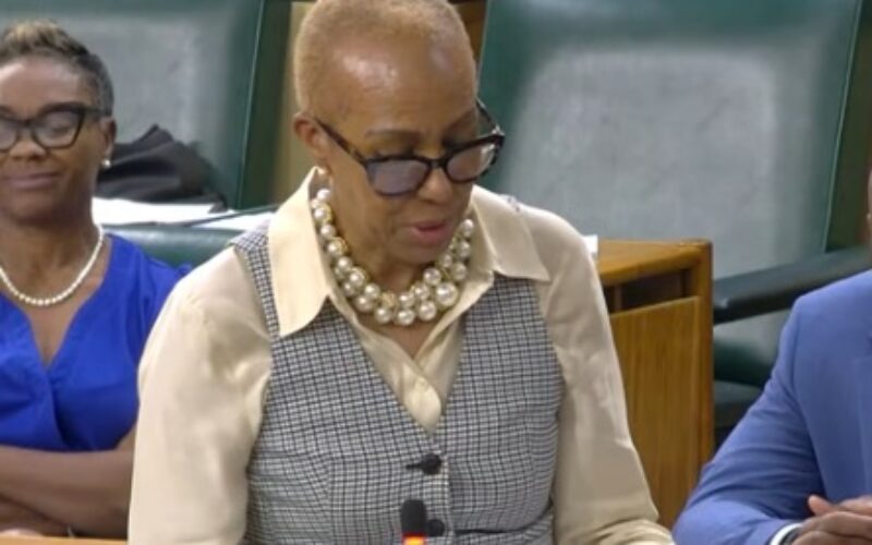 Parliament approves 15% tax on Airbnb and other short term rentals effective next year April