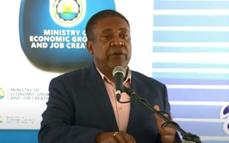 MP for East Kingston and Port Royal calls on government to develop Kingston Harbour and Sunken Pirate City in Port Royal