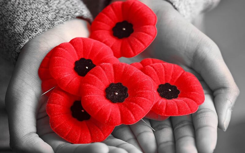 JDF to host National Poppy Appeal Festival in remembrance of Veterans