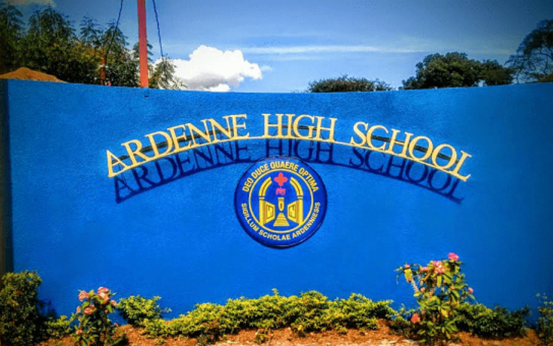 Ardenne High school walks away with JCDC Marcus Garvey Awards for excellence in performing Arts