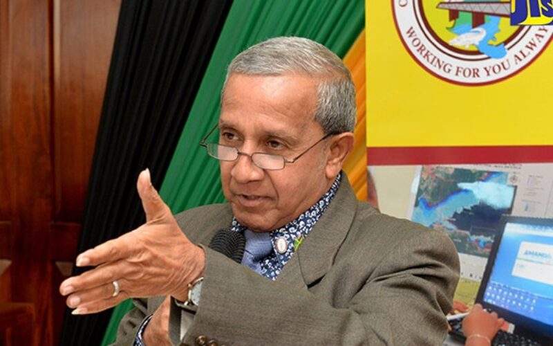 Mental health specialists to visit Rocky Point, Clarendon next week in wake of triple murder