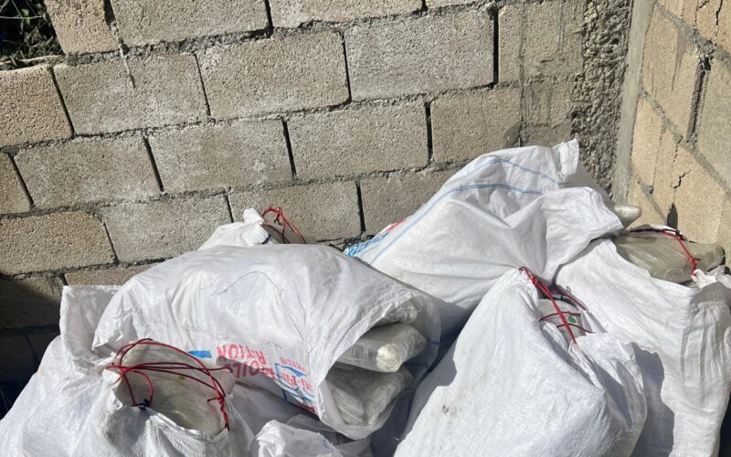 Approximately 500 pounds of ganja seized in St. Thomas