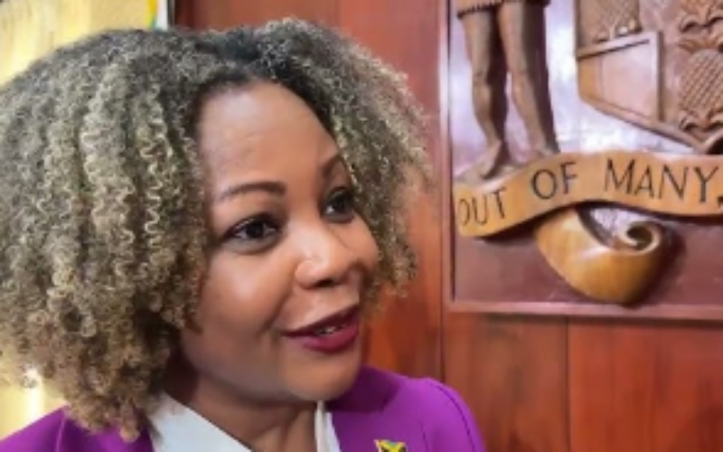 Education Minister Dr. Dana Morris Dixon says government pursuing several initiatives to tackle violence impacting students