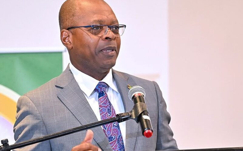 A proper capitalised Electricity Disaster Fund requires structured contributions, not ad hoc responses – Morrison