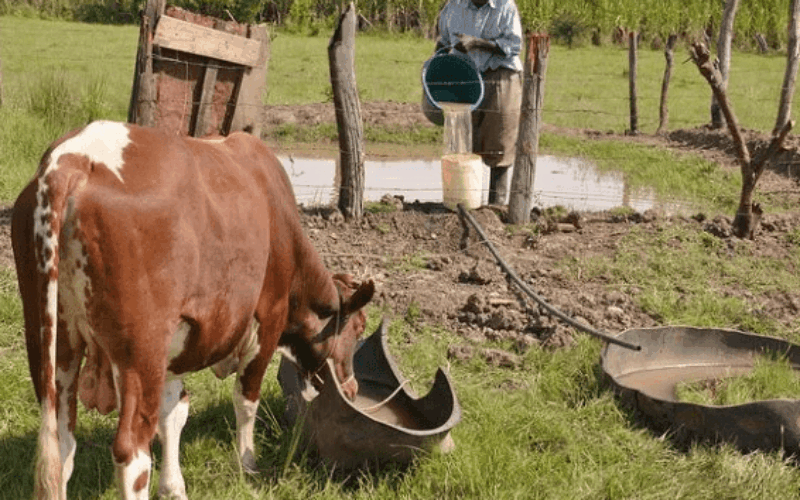 Livestock farmers to continue protest this week