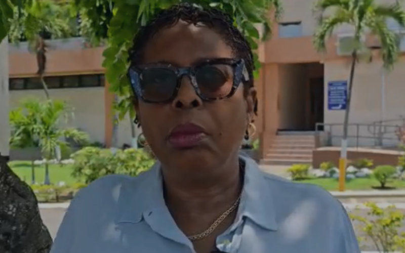 Dr. Angela Brown Burke accepts responsibility for mace incident but says context matters