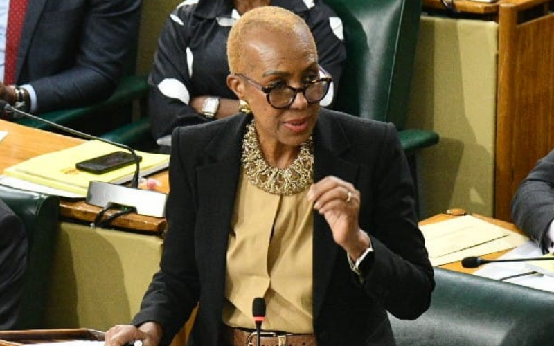 Finance Minister Fayval Williams says government will manage the country’s debt to GDP