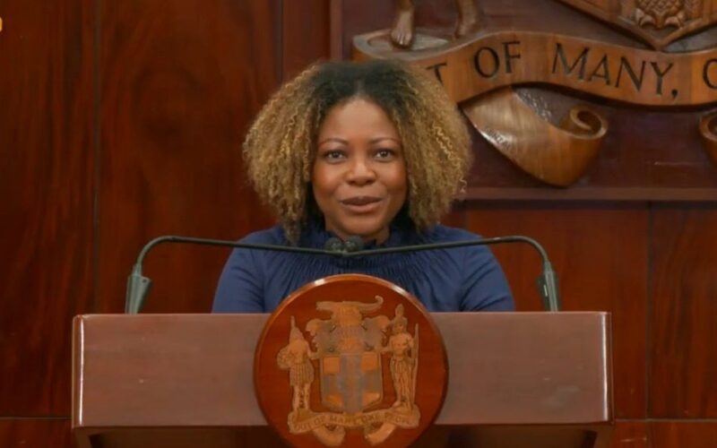 Information Minister Dr. Dana Morris Dixon says Andrew Holness administration deeply believes in human rights
