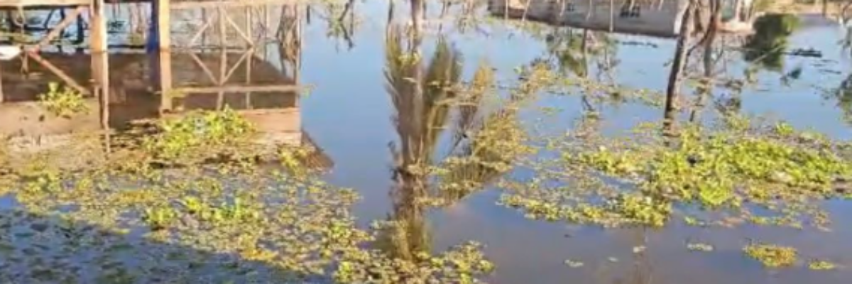 Residents of Lacovia in St.Elizabeth call on authorities to address flooding