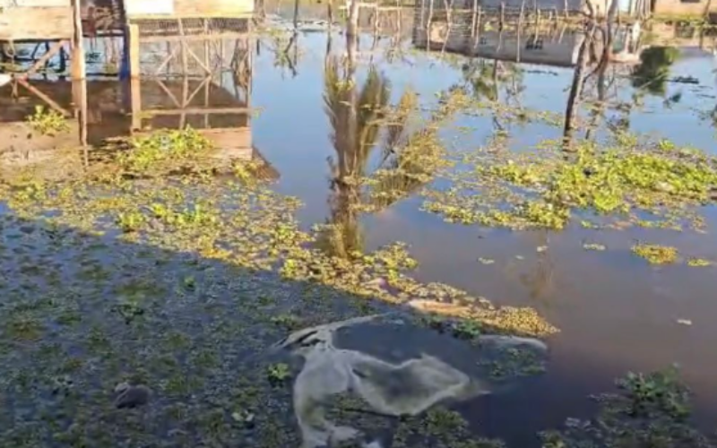 Residents of Lacovia in St.Elizabeth call on authorities to address flooding