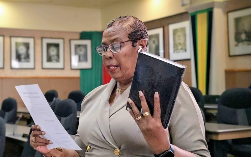 JLP councillors walk out of KSAMC’s monthly meeting, after Councillor Lorraine Dobson elected deputy mayor