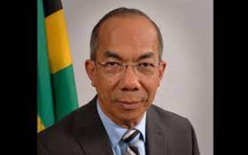 National Security Minister Dr Horace Chang commits to doing more to ensure the safety of school children