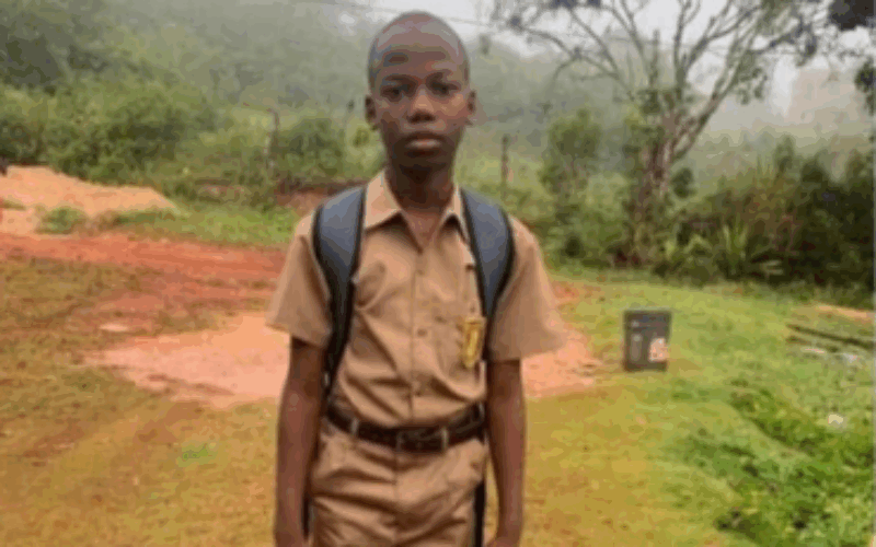 Dozens participating in search for missing grade 7 Manchester High student, Jayden Smith