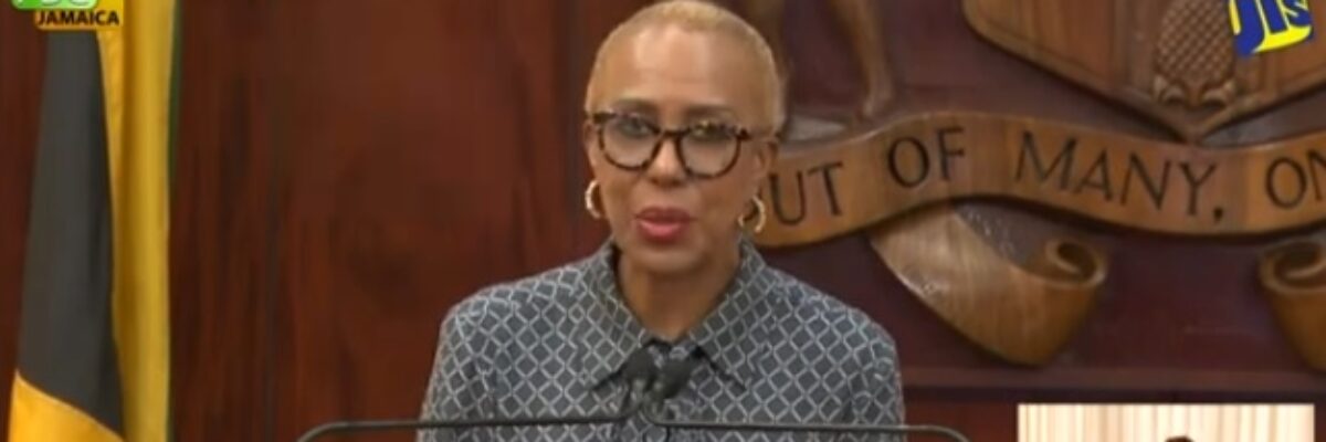 Finance minister says framework to manage fiscal impact of storm is in place