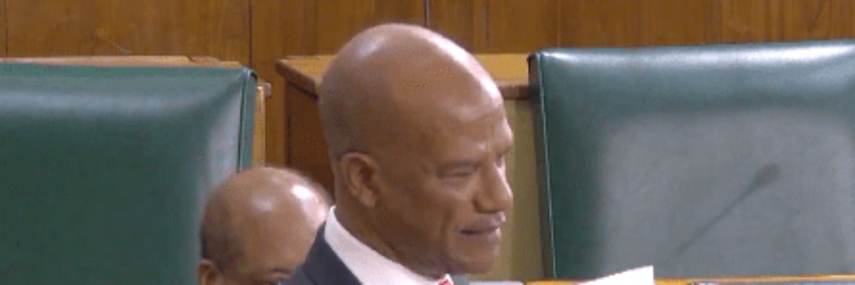 Opposition Senator Peter Bunting accuses gov’t of normalizing bad governance