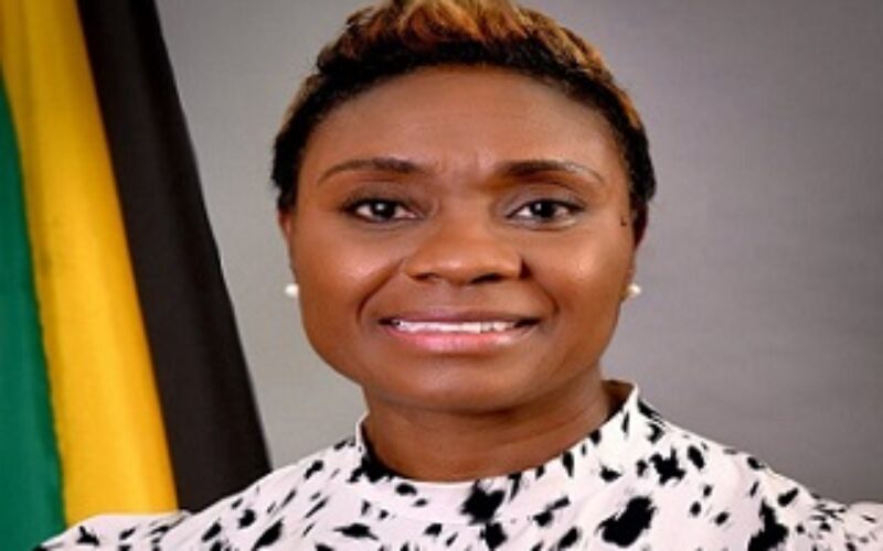 Cuthbert Flynn stresses importance of strengthened practices for reintegration of involuntary returned migrants