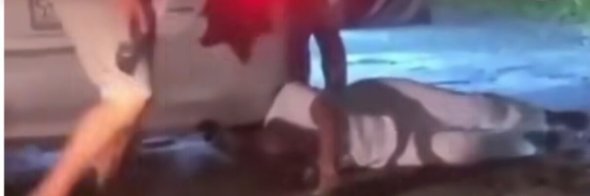 Man seen on video assaulting nurse arrested, charges to be laid soon; FLA also probing incident