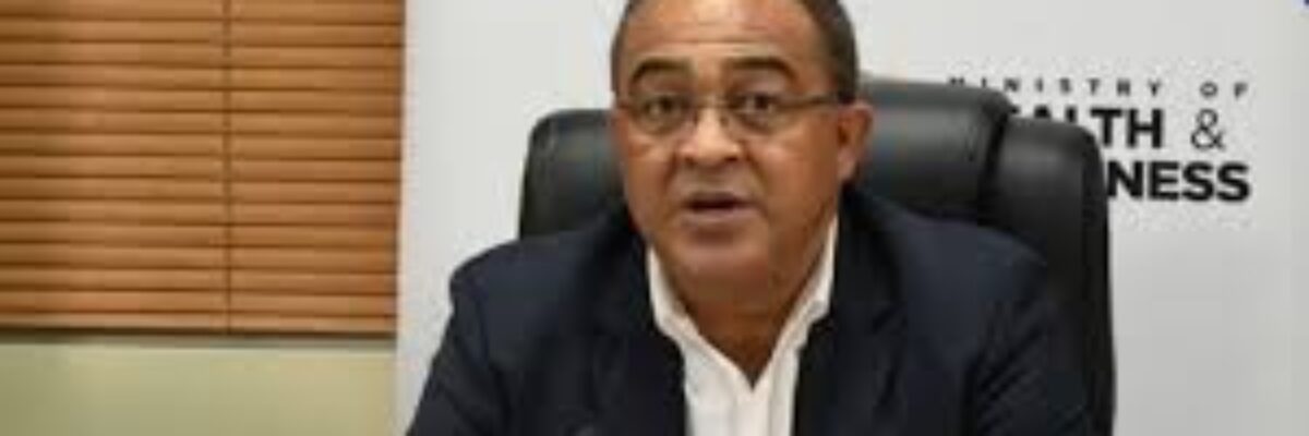 Health ministry calls on Jamaicans in the US to assist with providing ambulances following the hurricane