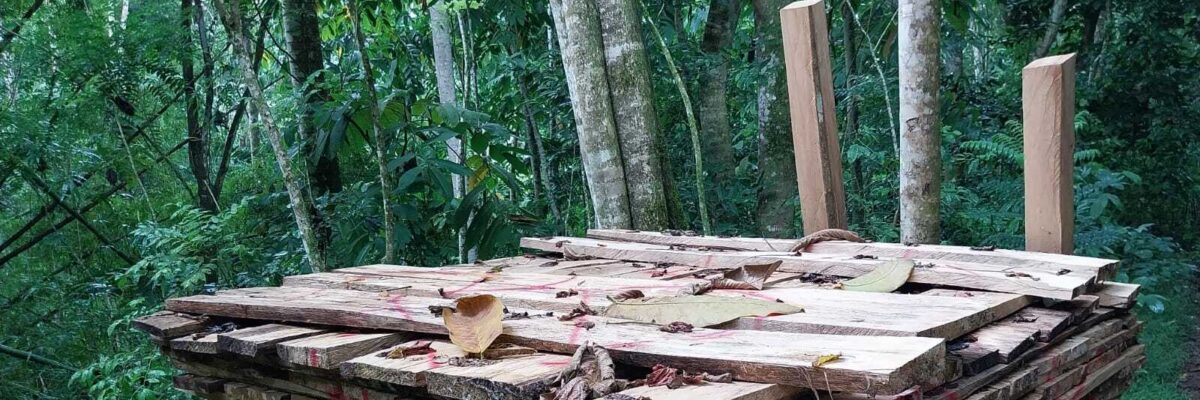 Forestry Department seizes over 900 pieces of illegally harvested timber from a protected area in St. Mary