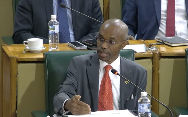 Gov’t to roll out Hurricane Melissa relief voucher system by January