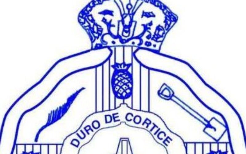 JCSA welcomes attempts by Health Ministry to establish accountability framework