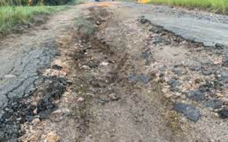 National Caucus of PNP Councillors demands urgent action on parochial roads