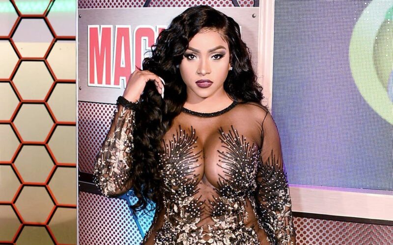 Yanique Curvy Diva charged with larceny and property damage