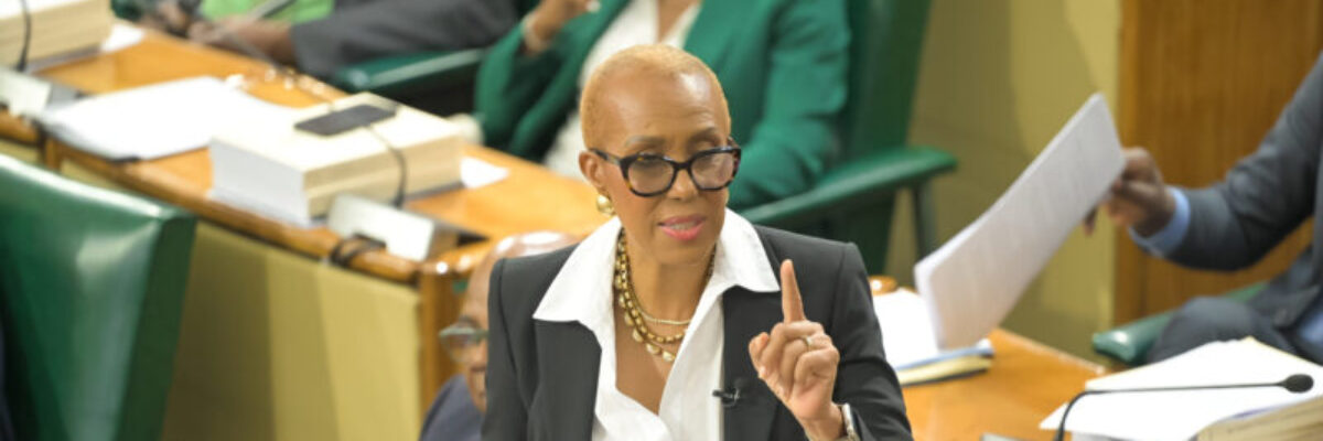 Finance Minister assures that online shopping will not be included in announced Digital Services Tax