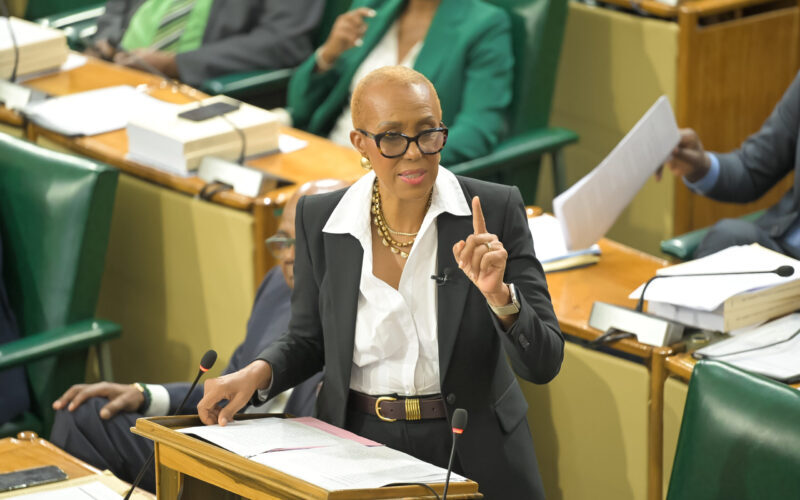 Finance Minister assures that online shopping will not be included in announced Digital Services Tax