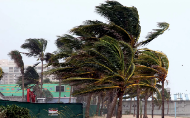 Tropical storm conditions expected to affect Jamaica within 24 hours