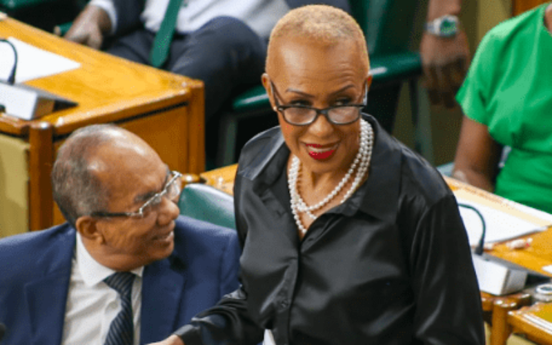 Ministry of Economic Growth and Infrastructure Development gets bulk of budgetary allocation for Hurricane Melissa relief