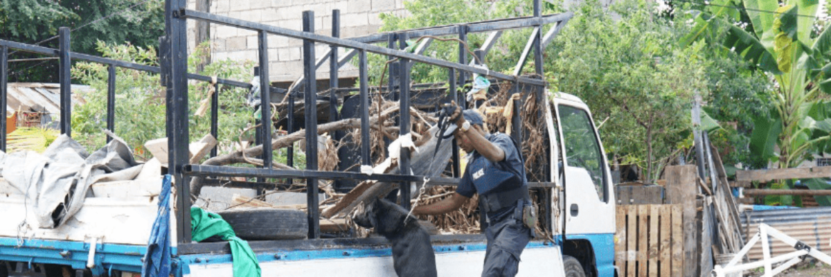 Police-military operation in St. Andrew leads to seizure of three firearms