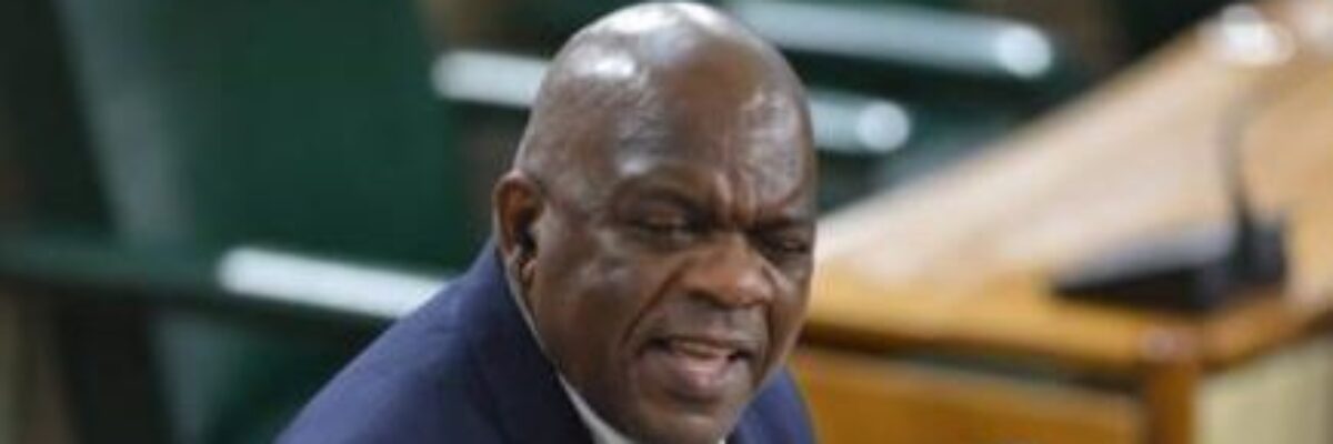 Opposition Senator calls for more sign language interpreters at Parliamentary proceedings to prevent absences