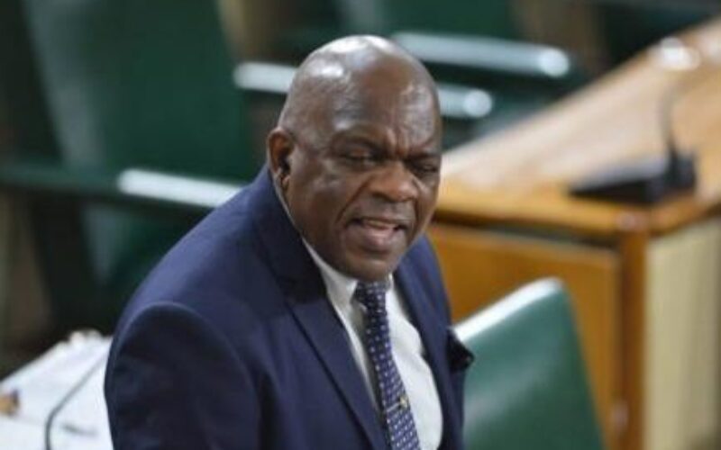 Opposition Senator calls for more sign language interpreters at Parliamentary proceedings to prevent absences