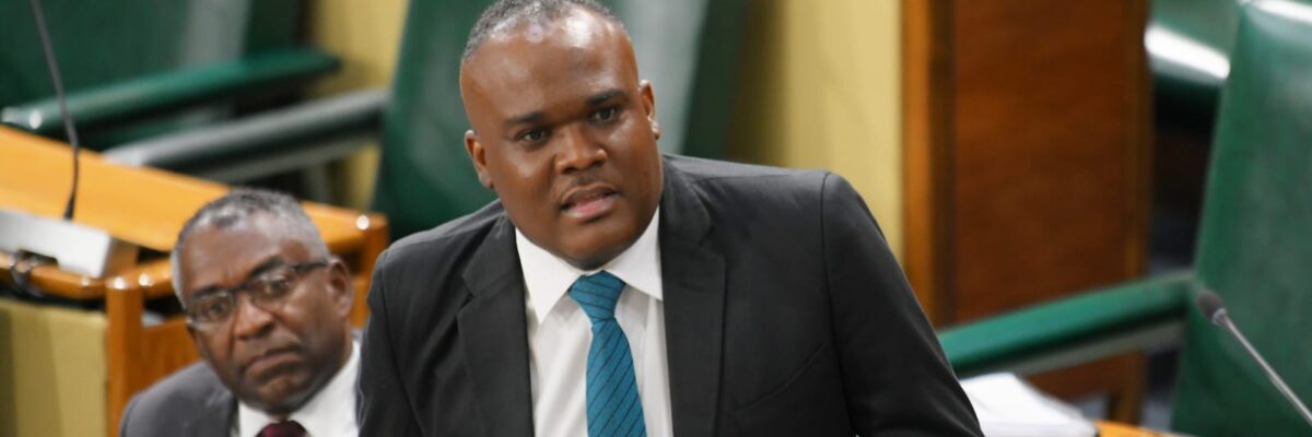 Fitz-Henley says Holness-administration will ensure Jamaicans benefit from cheaper bills under new electricity licensing arrangement