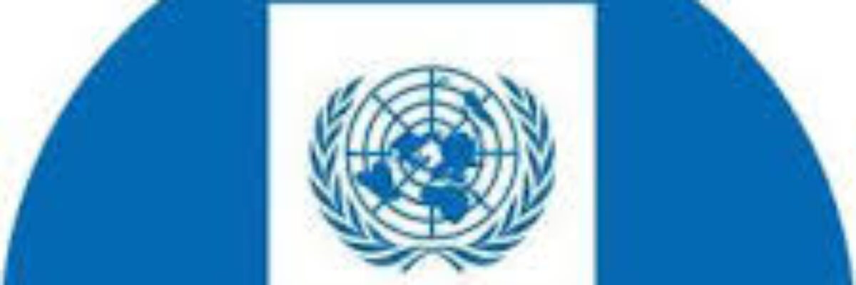 UNDP mobiliizes initial US$2M in recovery grants for Jamaica