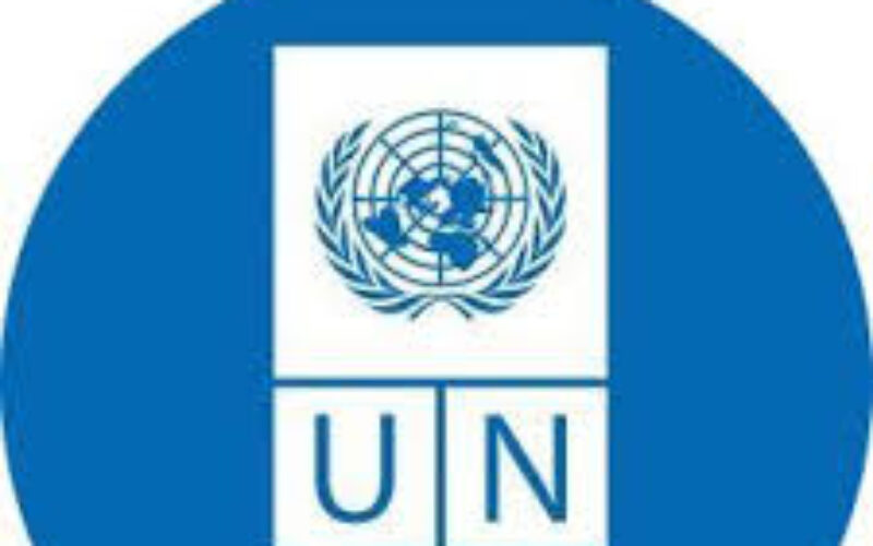 UNDP mobiliizes initial US$2M in recovery grants for Jamaica