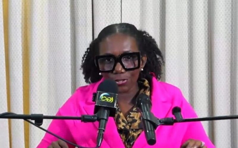 MP for Western Hanover Heatha Miller Bennett raises concern about what she said is the rigidity of SPARK Programme