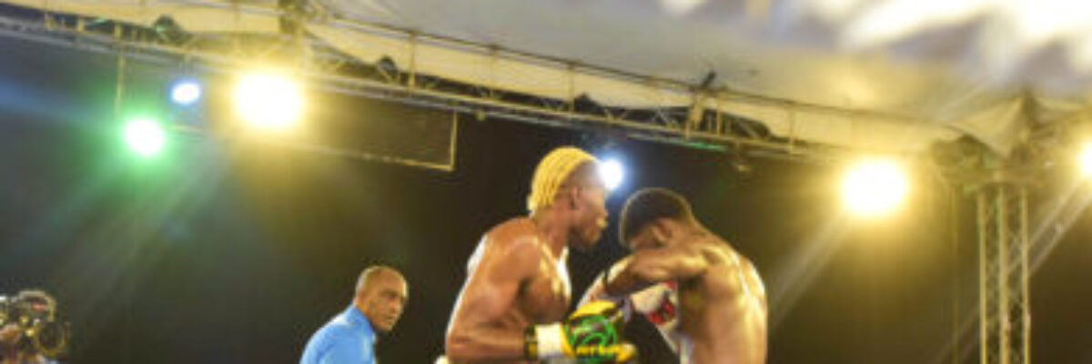 Big fights on the card at Wray and Nephew fight nights at Cling Cling Avenue