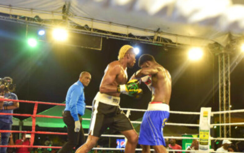 Big fights on the card at Wray and Nephew fight nights at Cling Cling Avenue