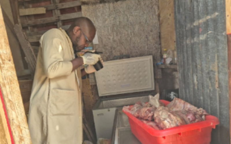 Kingston man in custody and over 500 pounds of uninspected meat seized during police operation in Downtown Kingston