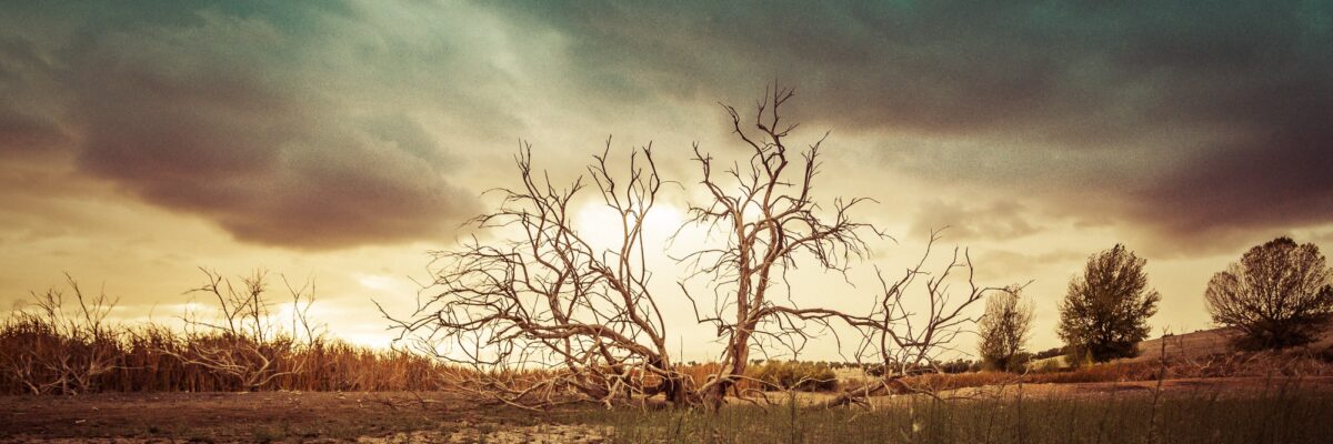 Met Service says expect dry conditions mainly across southern sections of the island over next few days