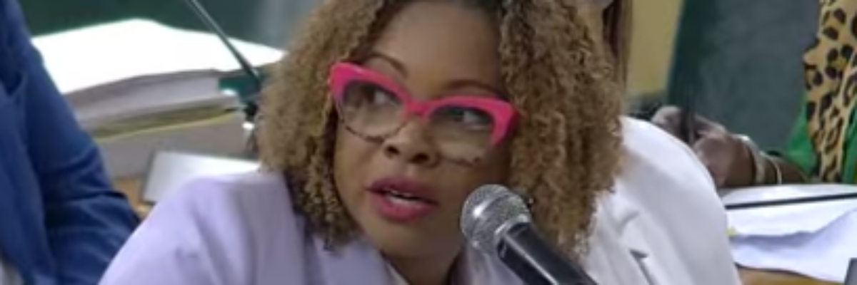 Laptop Programme being expanded to primary schools 